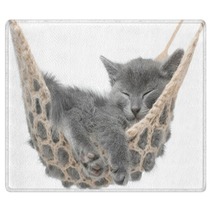 Cute Gray Kitten Lying In Hammock Rugs 58490620