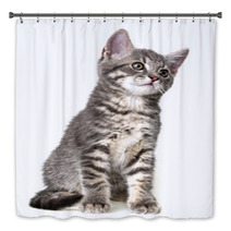 Cute Kitten Isolated On White Bath Decor 66030626