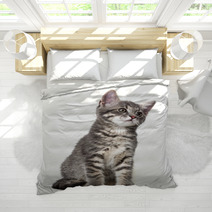 Cute Kitten Isolated On White Bedding 66030626