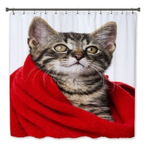 Cute Kitten With A Red Scarf Bath Decor 66021345