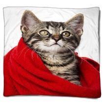 Cute Kitten With A Red Scarf Blankets 66021345