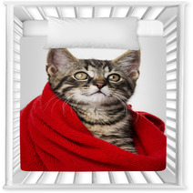 Cute Kitten With A Red Scarf Nursery Decor 66021345