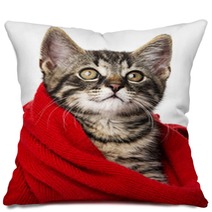 Cute Kitten With A Red Scarf Pillows 66021345
