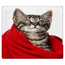 Cute Kitten With A Red Scarf Rugs 66021345