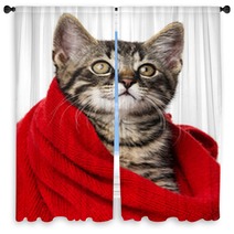 Cute Kitten With A Red Scarf Window Curtains 66021345