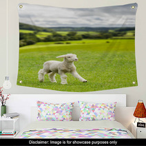 Cute Lamb In Meadow In Wales Or Yorkshire Dales Wall Art 85249573