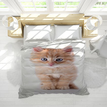 Cute Little Red Kitten Isolated On White Bedding 65933792