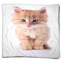 Cute Little Red Kitten Isolated On White Blankets 65933792