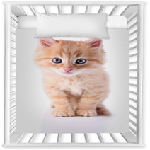 Cute Little Red Kitten Isolated On White Nursery Decor 65933792