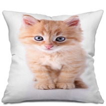Cute Little Red Kitten Isolated On White Pillows 65933792