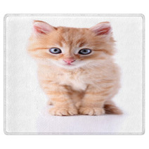 Cute Little Red Kitten Isolated On White Rugs 65933792