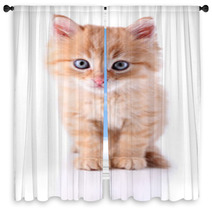 Cute Little Red Kitten Isolated On White Window Curtains 65933792