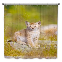 Cute Lynx Cub Sits In Grass Bath Decor 99784223