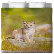 Cute Lynx Cub Sits In Grass Bedding 99784223