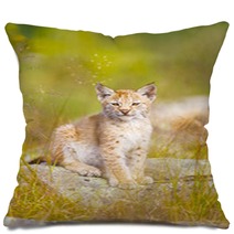 Cute Lynx Cub Sits In Grass Pillows 99784223