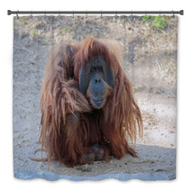 Cute Orangutang Bath Decor 99520757