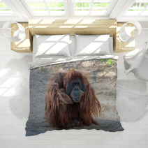 Cute Orangutang Bedding 99520757