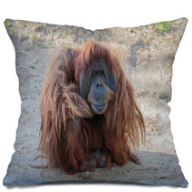 Cute Orangutang Pillows 99520757