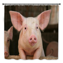 Cute Pig Bath Decor 2747487