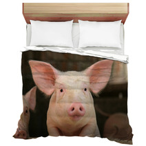 Cute Pig Bedding 2747487