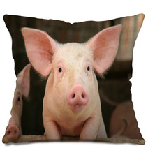 Cute Pig Pillows 2747487