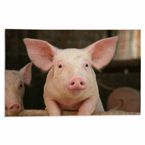 Cute Pig Rugs 2747487