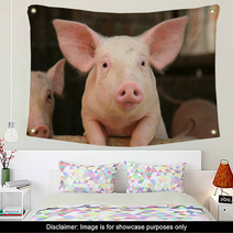Cute Pig Wall Art 2747487