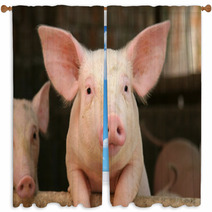 Cute Pig Window Curtains 2747487