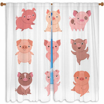 Cute Piggies Collection Vector Illustration Of Funny Cartoon Pigs In Different Poses Isolated On White Window Curtains 230045628