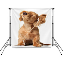 Cute Puppy Listening To Music On A Head Set Backdrops 5684305