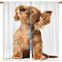 Cute Puppy Listening To Music On A Head Set Window Curtains 5684305