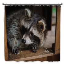 Cute Raccoon Face Action Animals Bath Decor 100610033