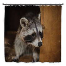Cute Raccoon Face Action Animals Bath Decor 100610038