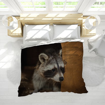 Cute Raccoon Face Action Animals Bedding 100610038