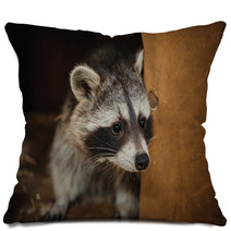 Cute Raccoon Face Action Animals Pillows 100610038
