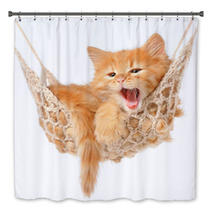 Cute Red-haired Kitten In Hammock Bath Decor 49687660