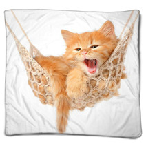 Cute Red-haired Kitten In Hammock Blankets 49687660