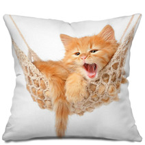 Cute Red-haired Kitten In Hammock Pillows 49687660