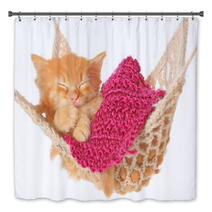 Cute Red Haired Kitten Sleeping In Hammock Bath Decor 55493916