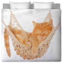 Cute Red Haired Kitten Sleeping In Hammock Bedding 53249652