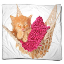 Cute Red Haired Kitten Sleeping In Hammock Blankets 55493916