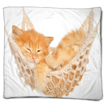 Cute Red Haired Kitten Sleeping In Hammock Blankets 57621484