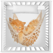 Cute Red Haired Kitten Sleeping In Hammock Nursery Decor 57621484
