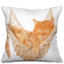 Cute Red Haired Kitten Sleeping In Hammock Pillows 53249652