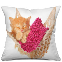 Cute Red Haired Kitten Sleeping In Hammock Pillows 55493916