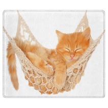 Cute Red Haired Kitten Sleeping In Hammock Rugs 53249652