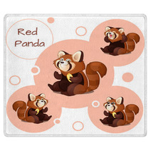 Cute Red Panda With Nuts Rugs 96786844