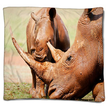 Cute Wild Baby White Rhino Playing With It's Mothers Horn Blankets 65856034