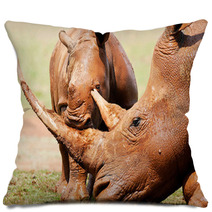 Cute Wild Baby White Rhino Playing With It's Mothers Horn Pillows 65856034
