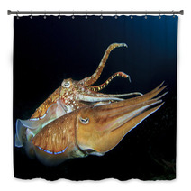 Cuttlefish Pair Sex Mating Bath Decor 76615867